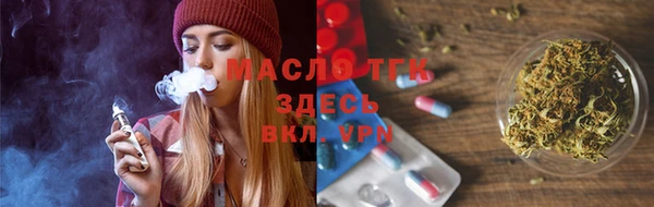 индика Аркадак