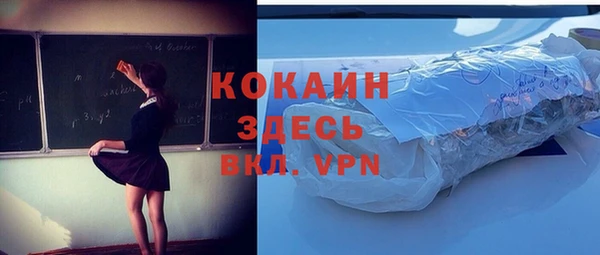 индика Аркадак