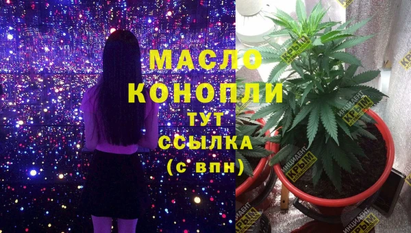 индика Аркадак