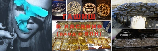 индика Аркадак