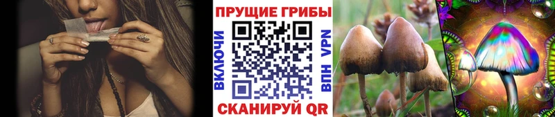 Псилоцибиновые грибы мухоморы  продажа наркотиков  Талдом 